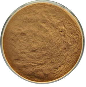 Herbal Extract Powder for Wellness