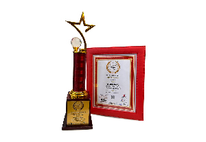 CMO Marketing Excellence Award 2024