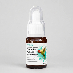 Probiotic Drops for Digestive Disorders Gut Flora Restoration Liquid Supplement