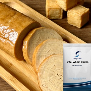 Vital Wheat Gluten Food Grade for Bread and Pediatric Cereals