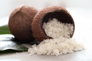 Coconut Fat Powder 50 percent bulk ingredient