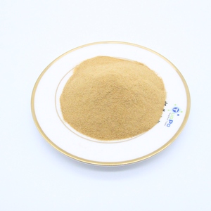 Yeast Extract Powder for Savory Micronutrient Formulations